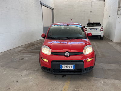 Fiat Panda 1.0 firefly hybrid s&amp;s 70cv 5p.ti del 2021 usata a Torino