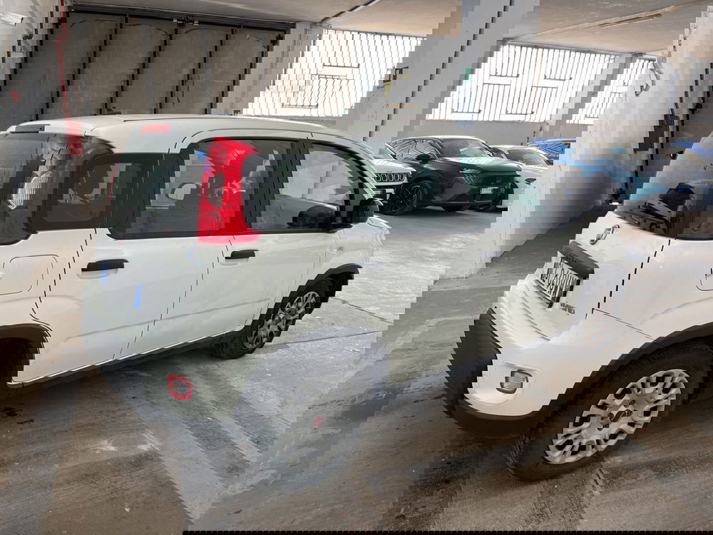 Fiat Panda usata a Torino (4)