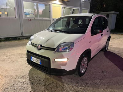 Fiat Panda Cross Cross 1.0 FireFly S&amp;S Hybrid del 2022 usata a Milano