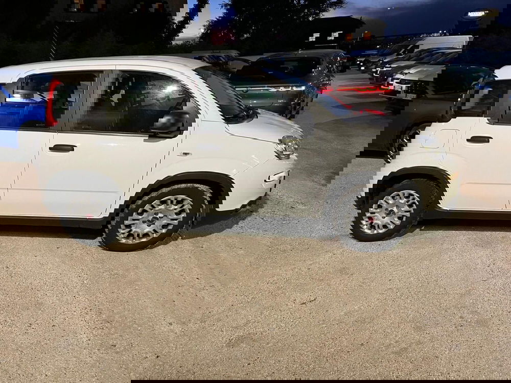 Fiat Panda Cross usata a Milano (4)