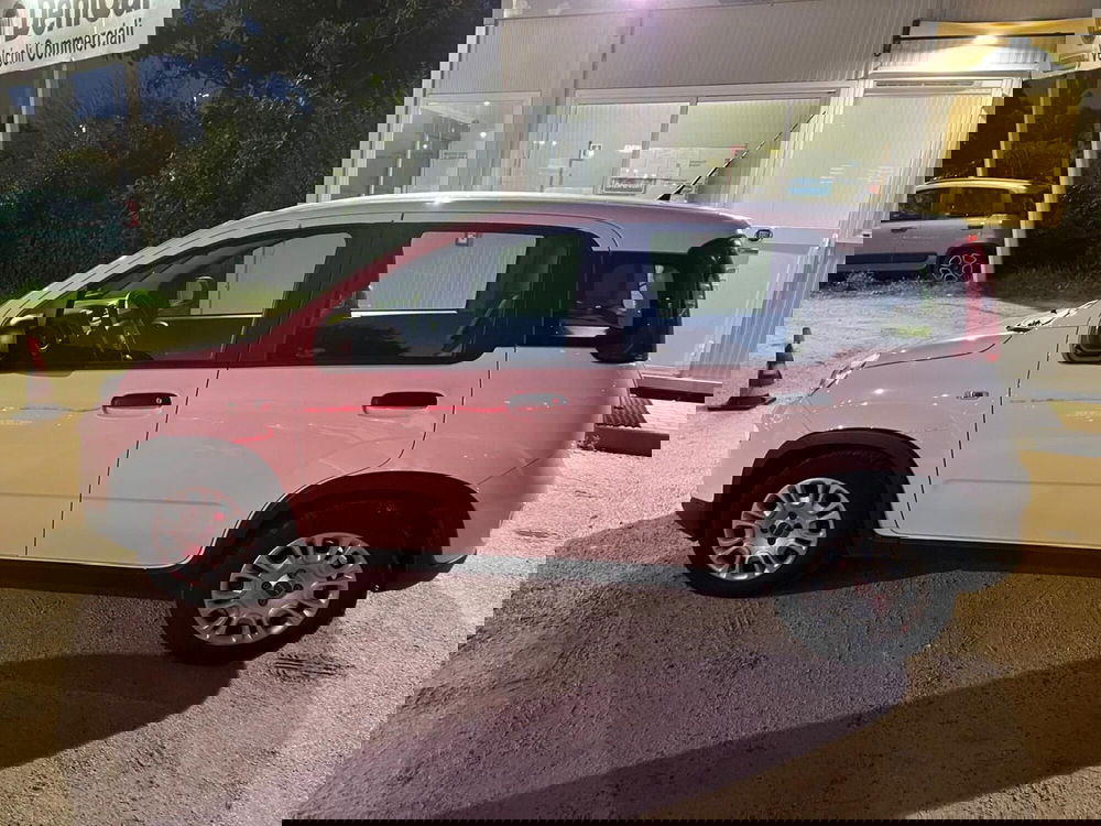 Fiat Panda Cross usata a Milano (5)