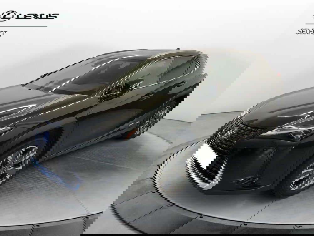 Lexus UX usata a Cremona