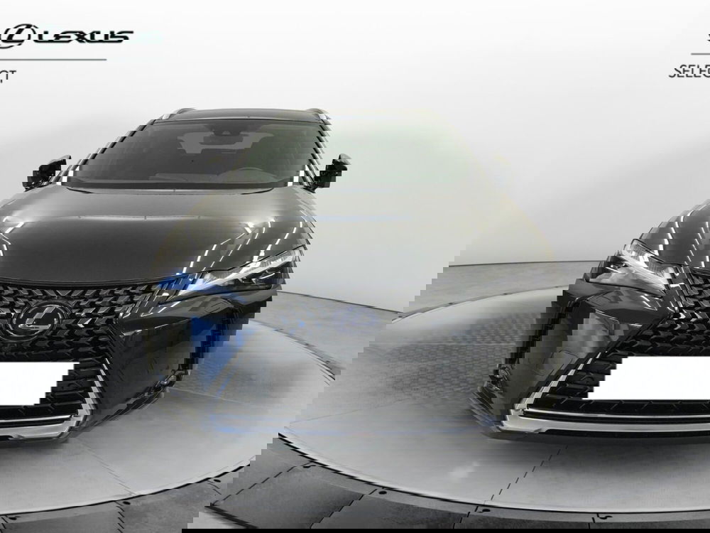Lexus UX usata a Cremona (3)