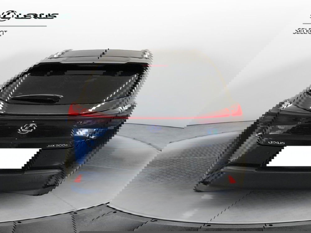 Lexus UX usata a Cremona (6)