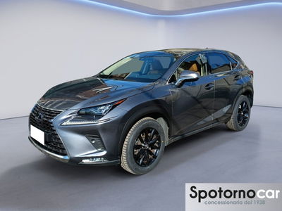 Lexus NX Hybrid 4WD Luxury del 2021 usata a Sesto San Giovanni