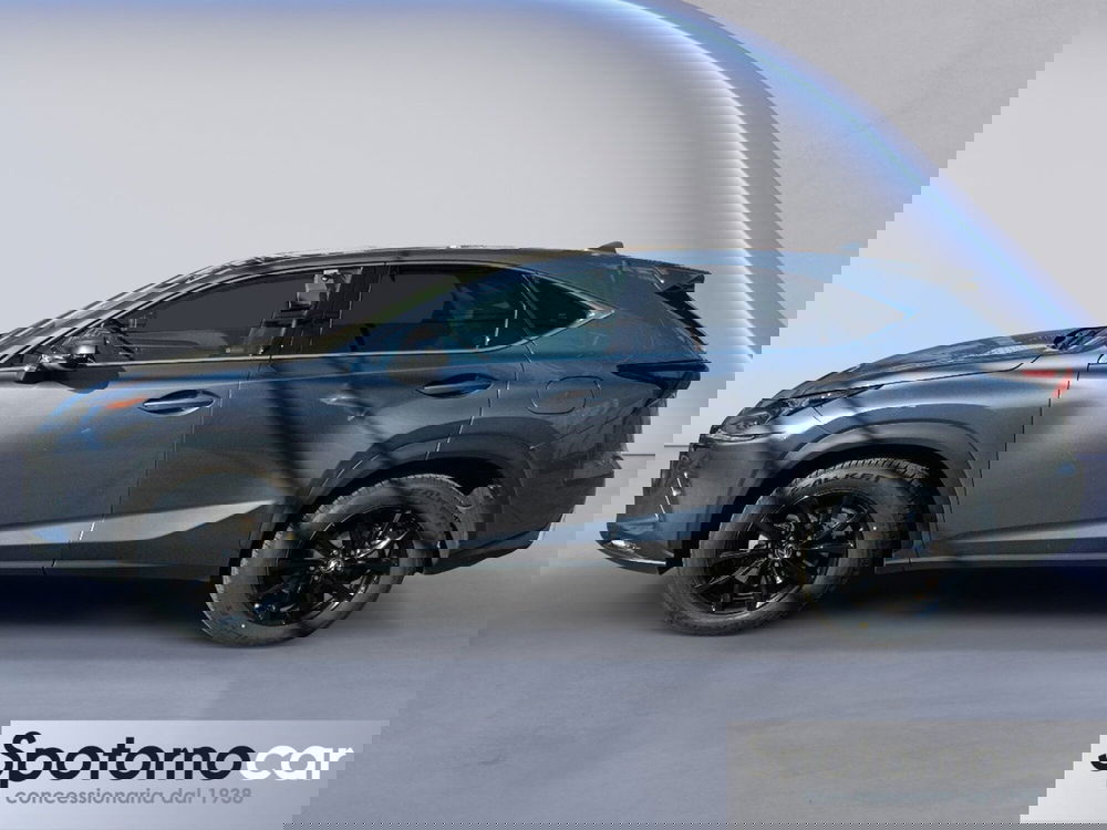 Lexus NX usata a Milano (3)