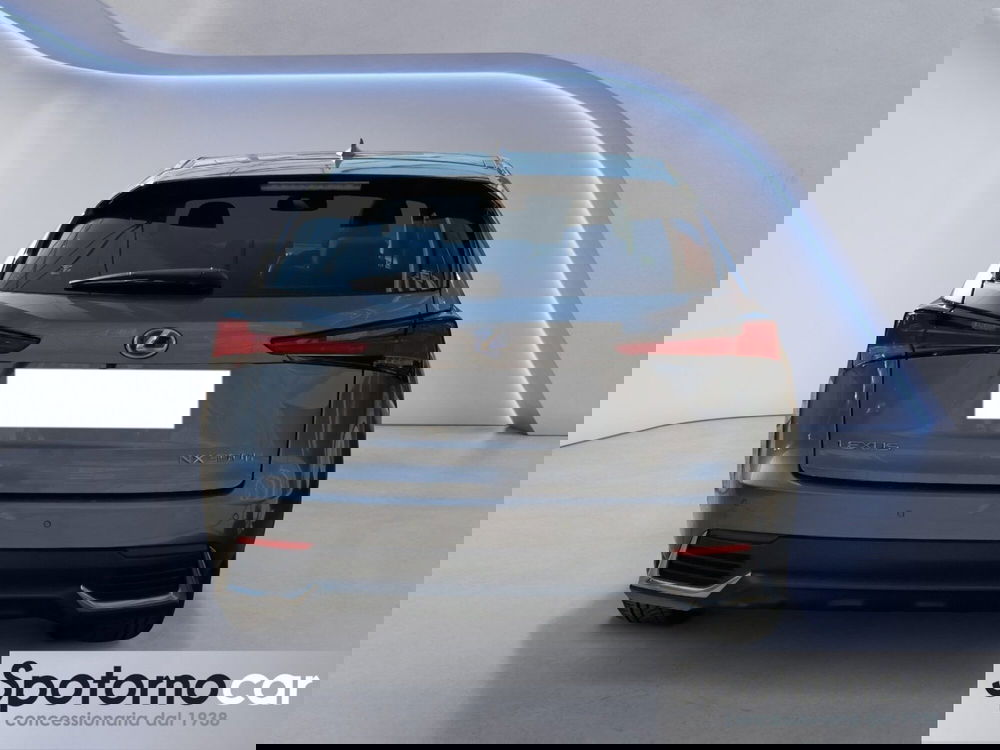 Lexus NX usata a Milano (4)