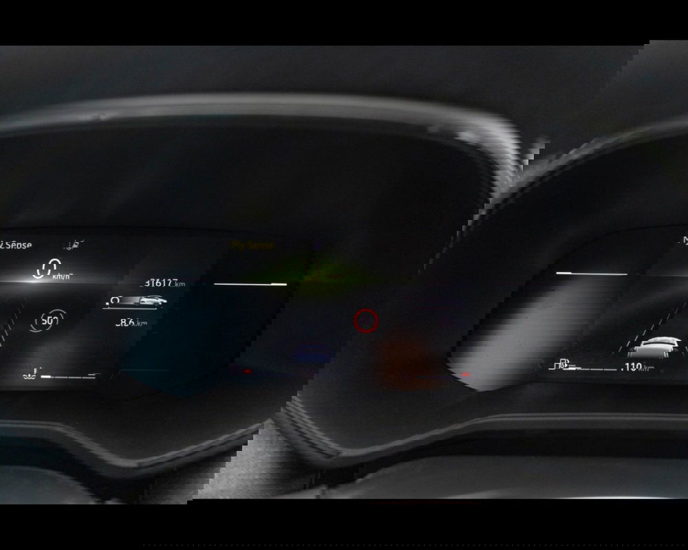 Renault Clio usata a Venezia (20)