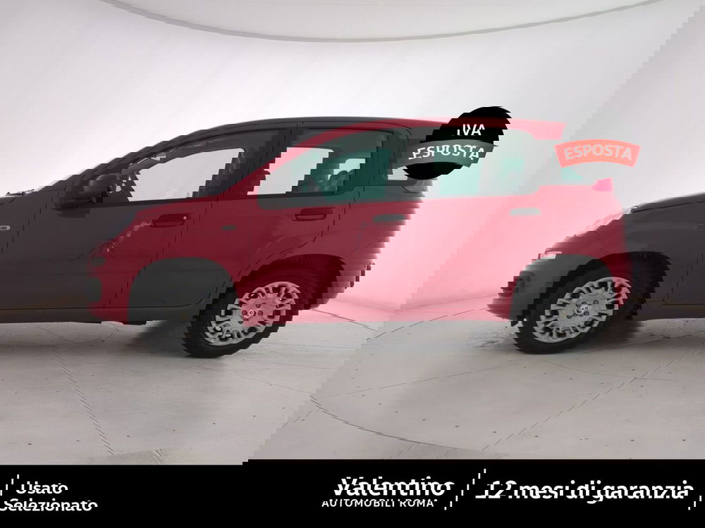 Fiat Panda nuova a Roma (4)