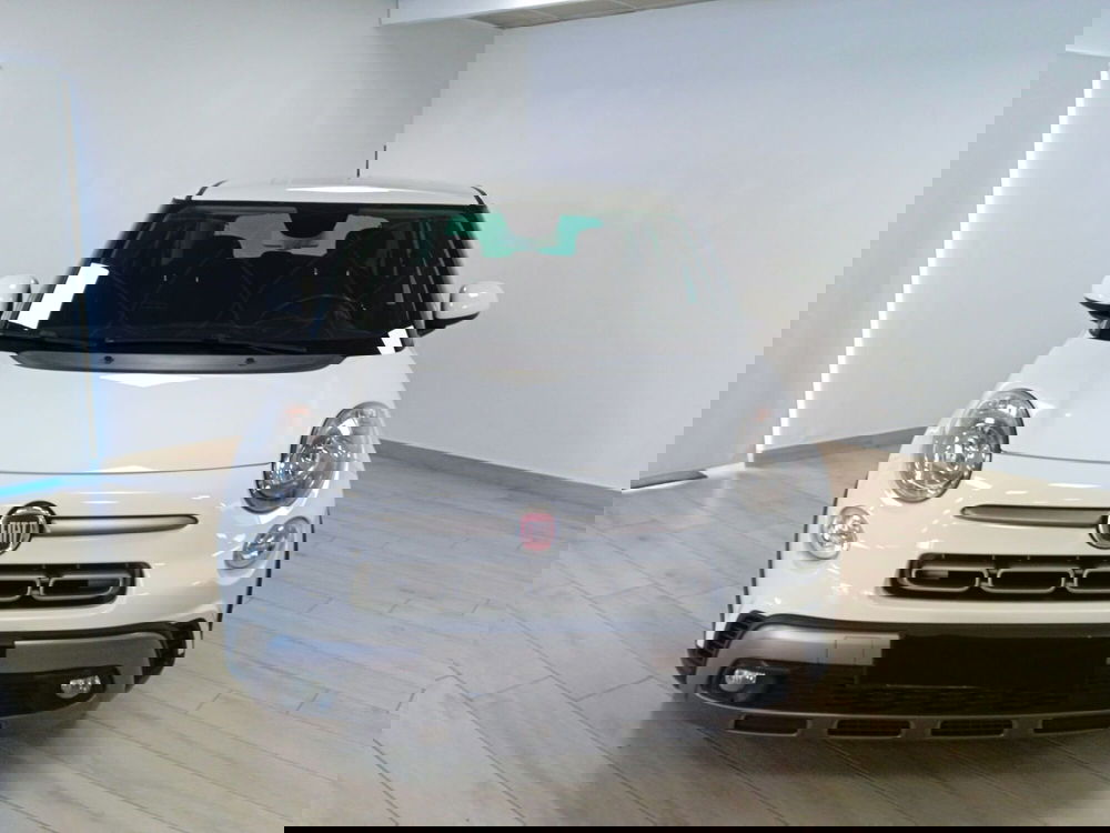 Fiat 500L usata a Torino (2)