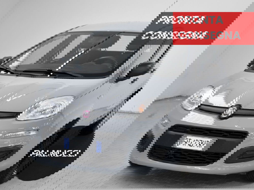 Fiat Panda usata a Prato