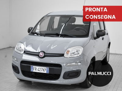 Fiat Panda 1.2 Easy del 2018 usata a Prato