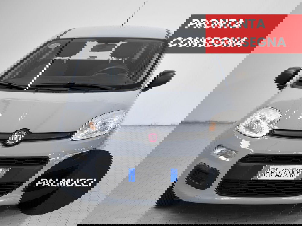 Fiat Panda usata a Prato (2)