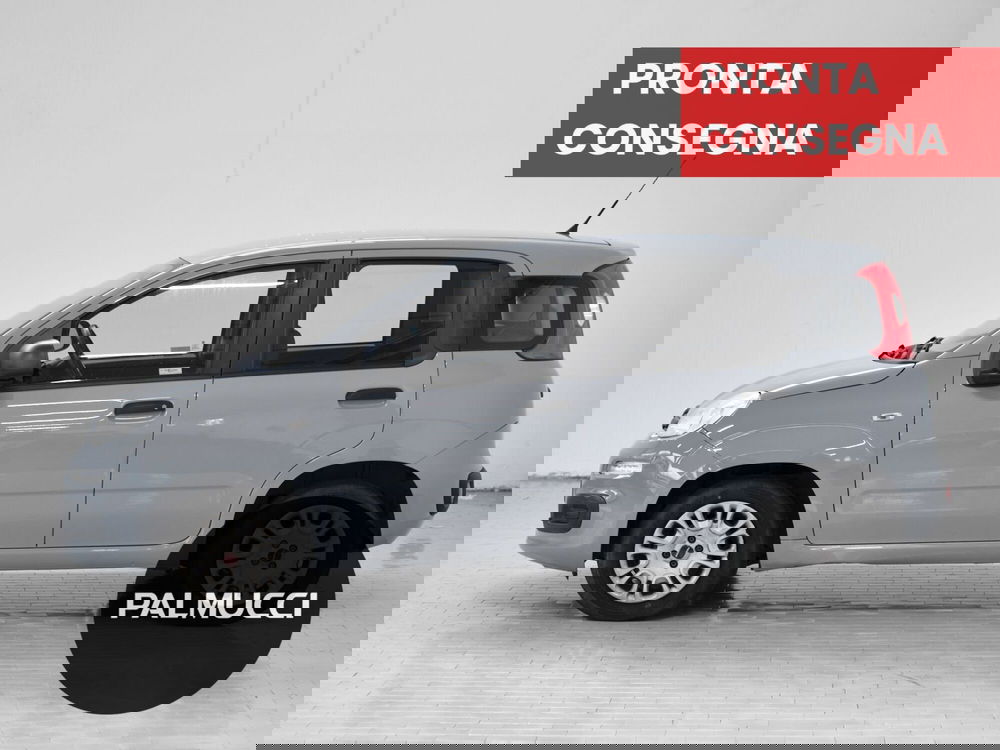 Fiat Panda usata a Prato (3)