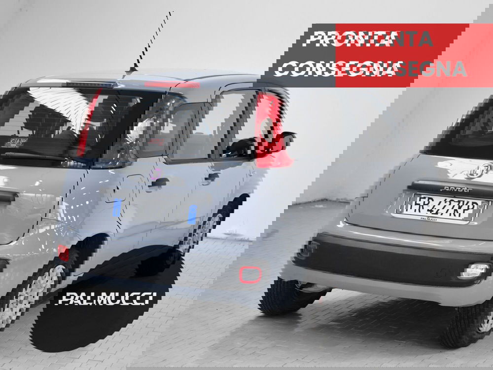 Fiat Panda usata a Prato (4)