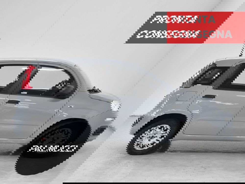 Fiat Panda usata a Prato (5)