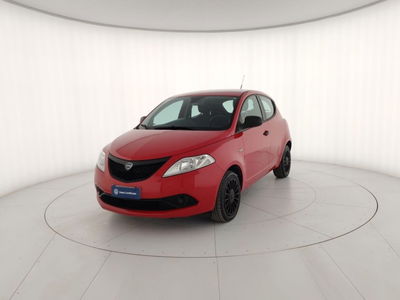 Lancia Ypsilon 1.2 69 CV 5 porte Elefantino Blu del 2019 usata a Massa