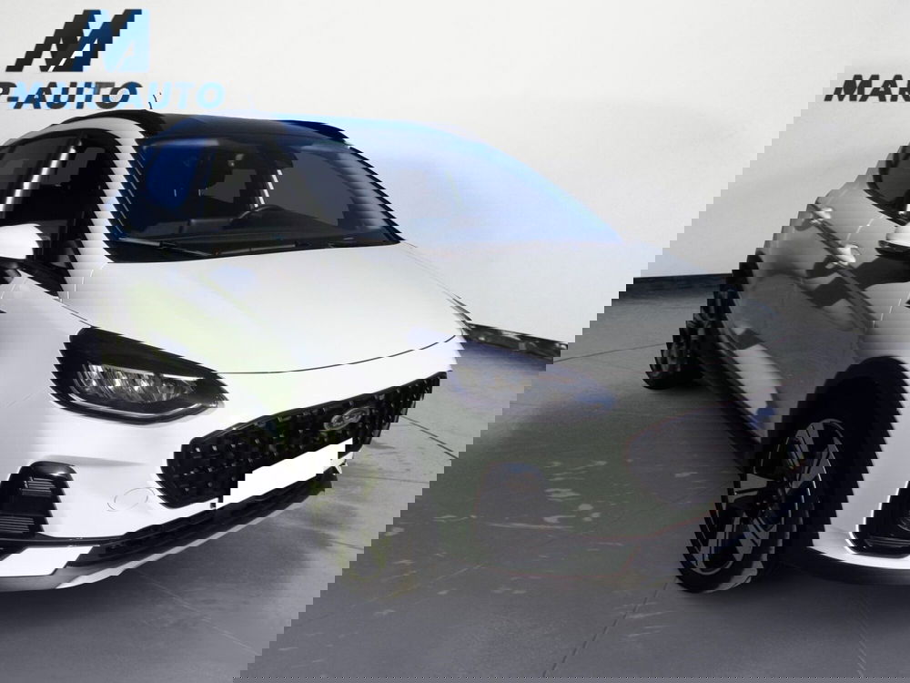 Ford Fiesta usata a Treviso (4)