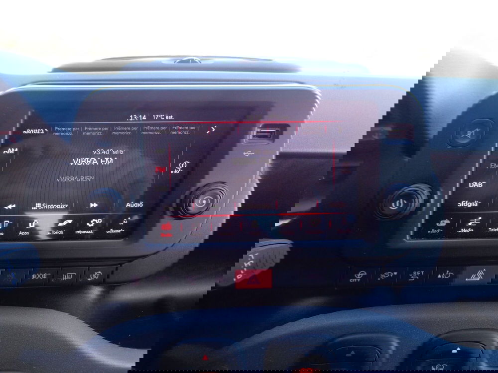 Fiat Panda Cross usata a Treviso (13)