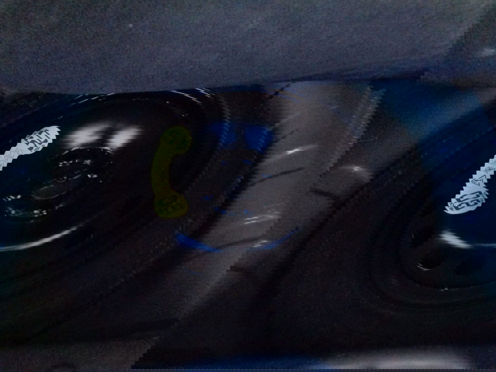 Fiat Panda Cross usata a Treviso (17)