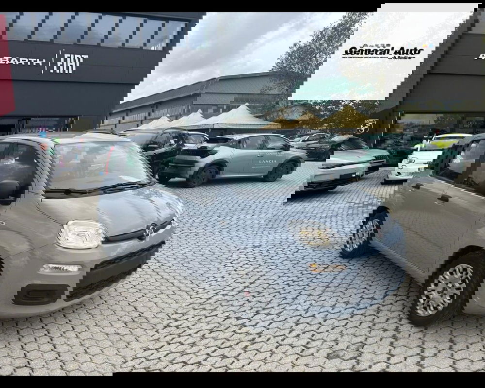 Fiat Panda usata a Lucca