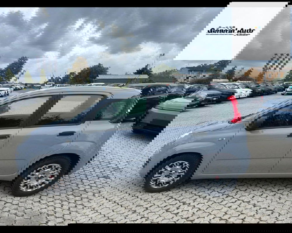 Fiat Panda usata a Lucca (4)