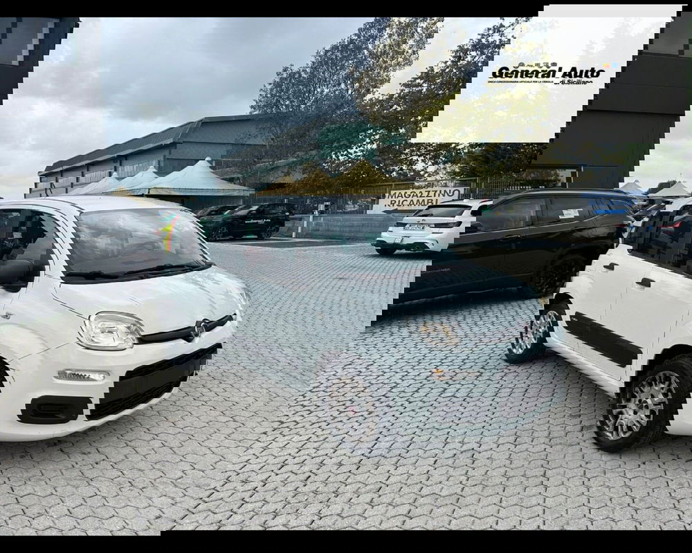 Fiat Panda usata a Lucca