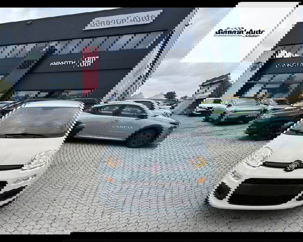 Fiat Panda usata a Lucca (2)