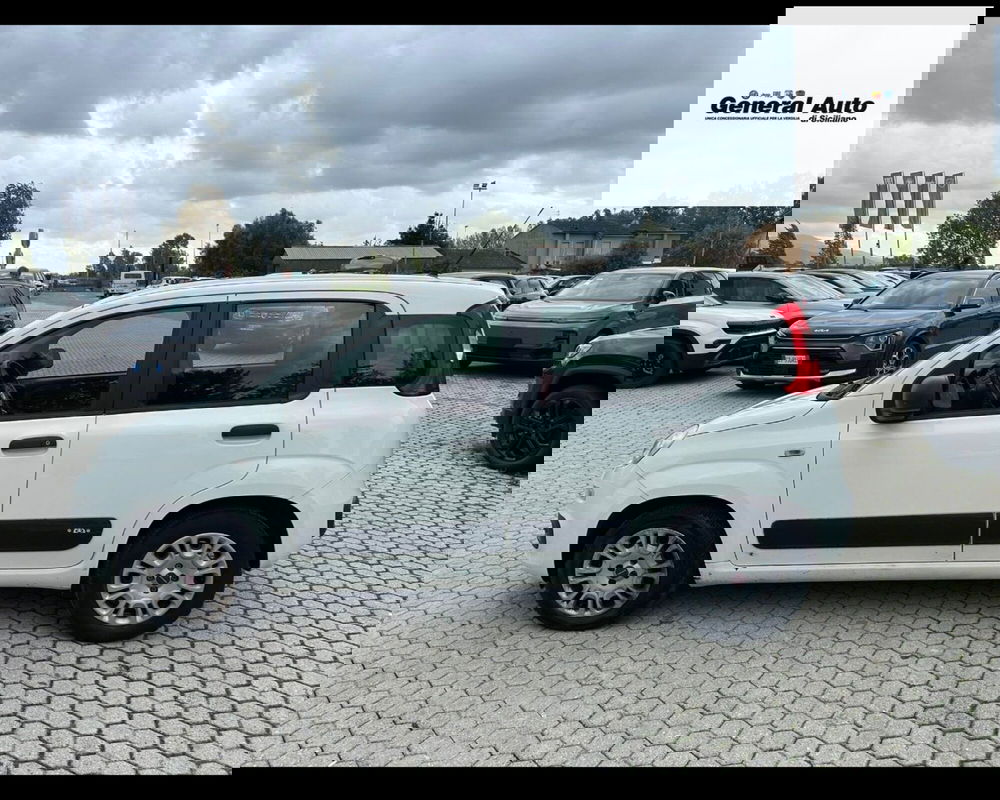 Fiat Panda usata a Lucca (4)