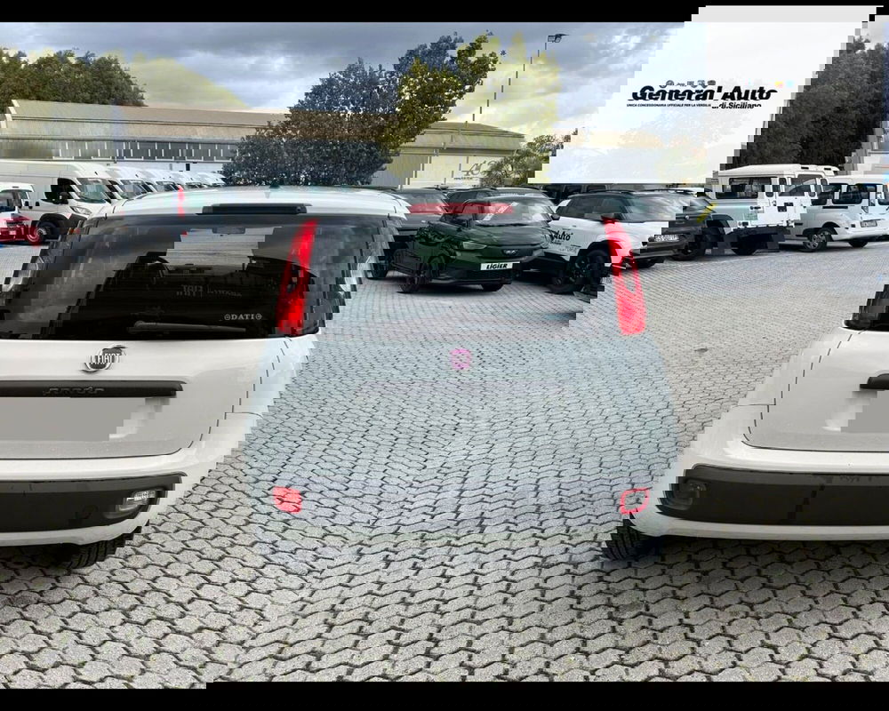 Fiat Panda usata a Lucca (6)