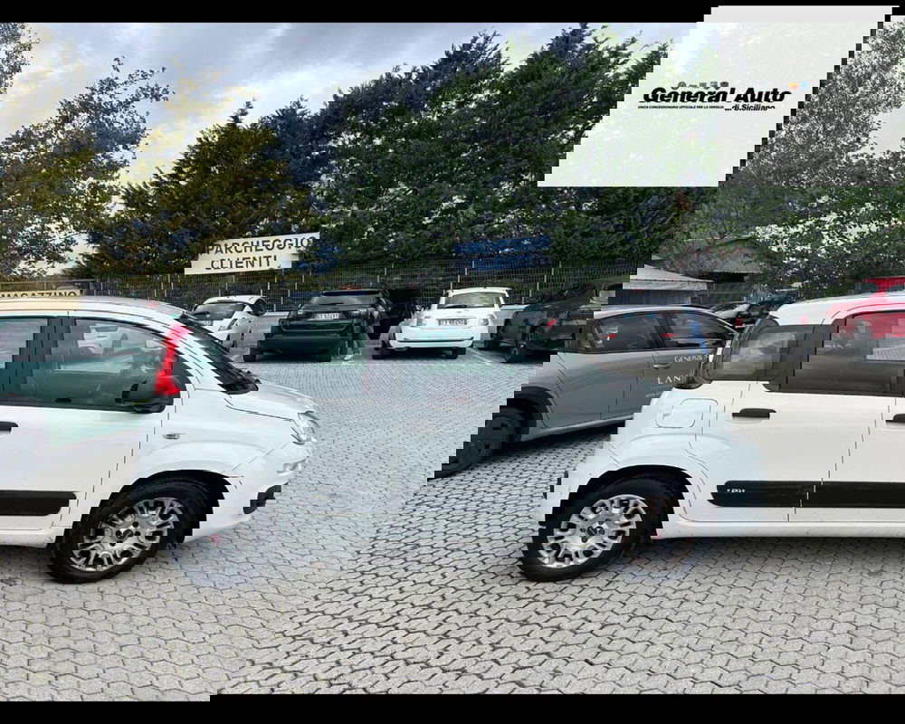 Fiat Panda usata a Lucca (9)