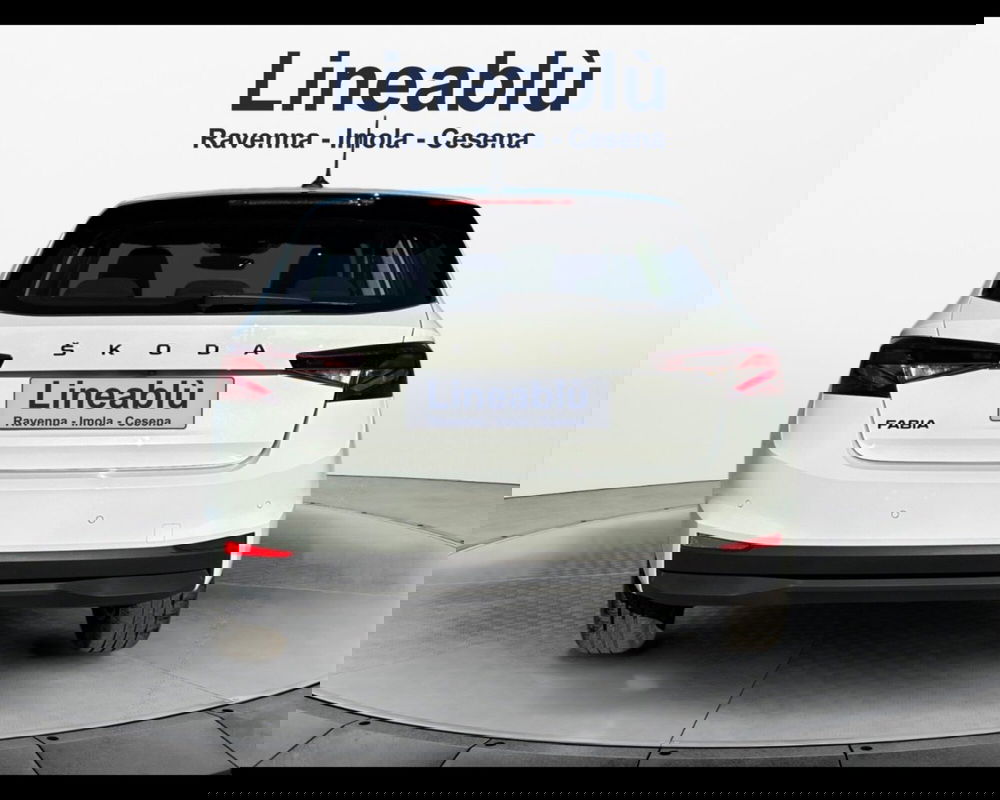 Skoda Fabia usata a Forlì-Cesena (4)