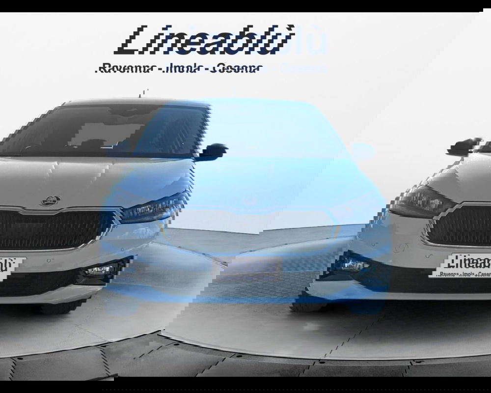 Skoda Fabia usata a Forlì-Cesena (8)