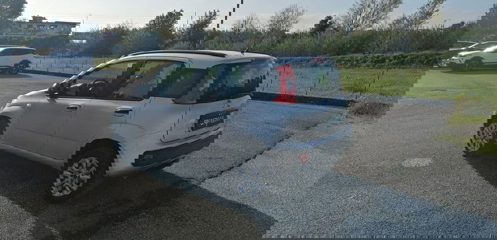 Fiat Panda usata a Pistoia (4)