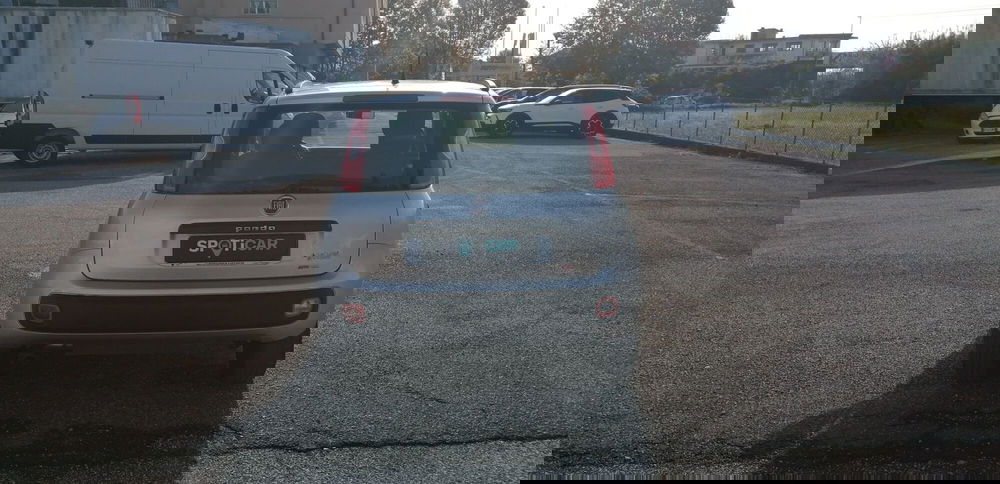 Fiat Panda usata a Pistoia (5)