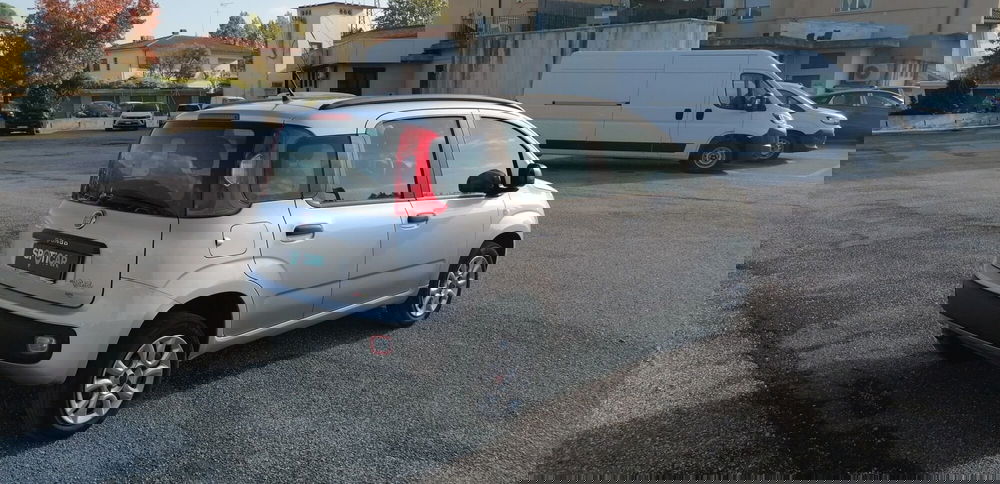 Fiat Panda usata a Pistoia (6)