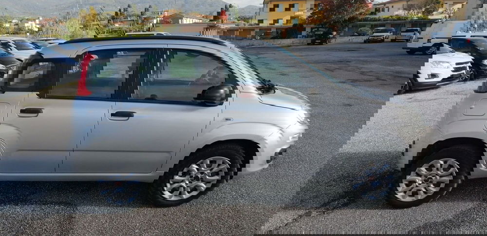 Fiat Panda usata a Pistoia (7)