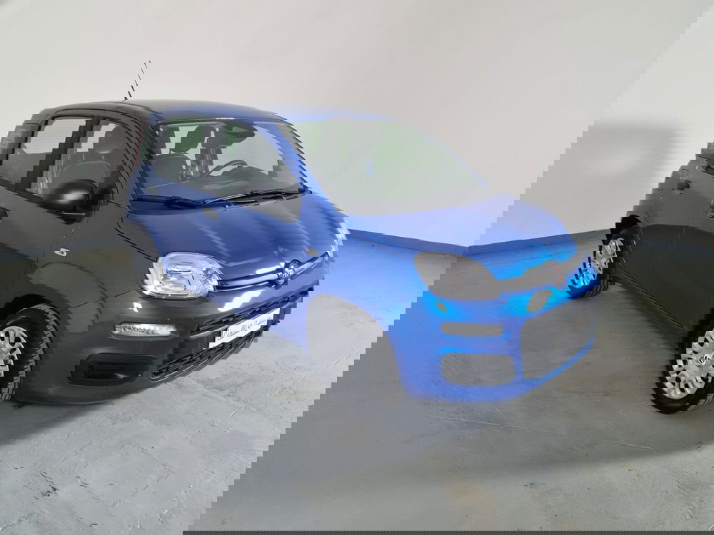 Fiat Panda Cross nuova a Cremona (3)