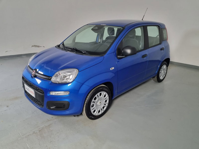 Fiat Panda Cross nuova a Cremona (4)