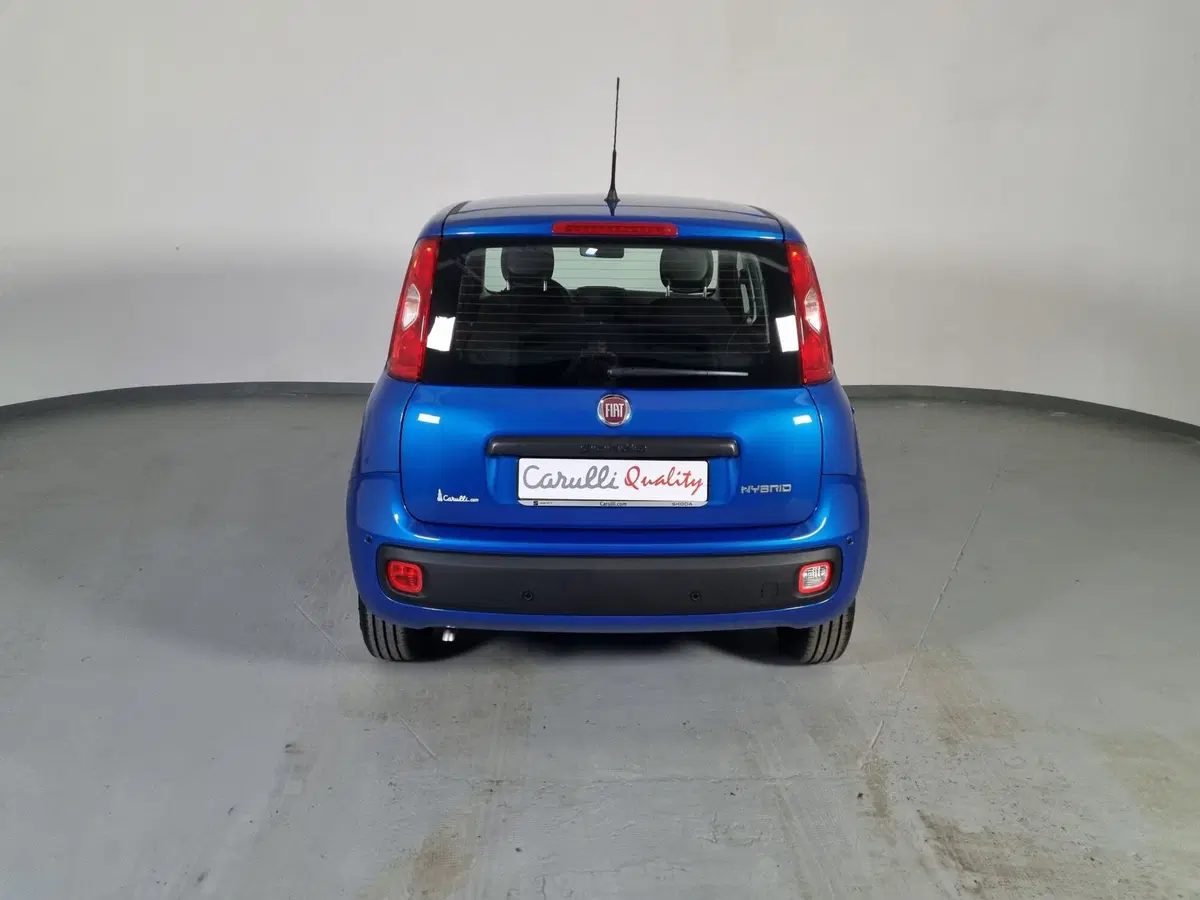 Fiat Panda Cross nuova a Cremona (5)