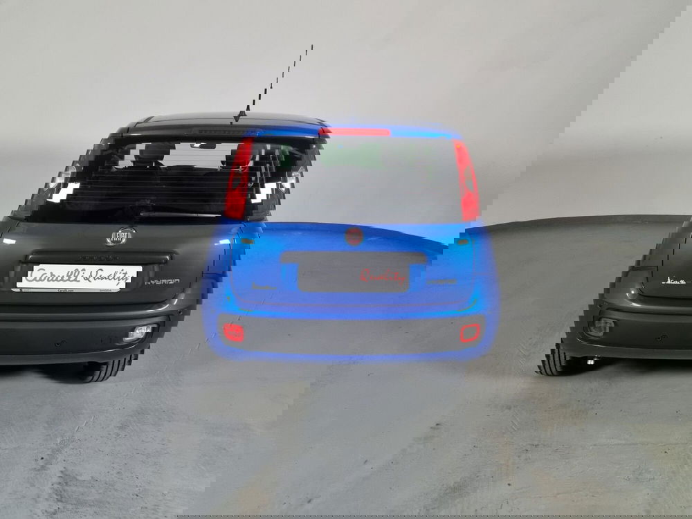 Fiat Panda Cross nuova a Cremona (5)