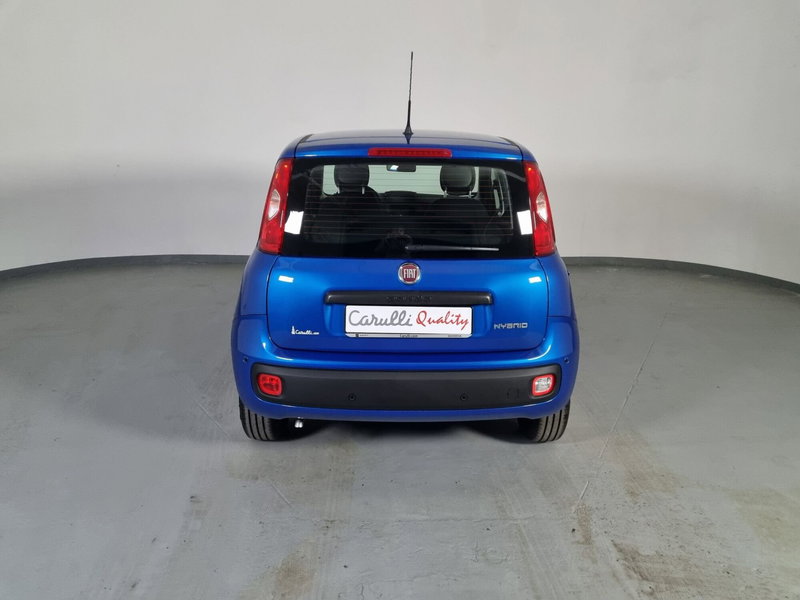 Fiat Panda Cross nuova a Cremona (5)