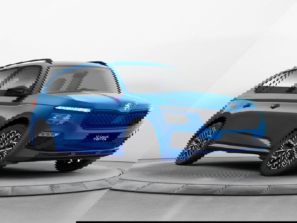 Skoda Kamiq usata a Reggio Calabria