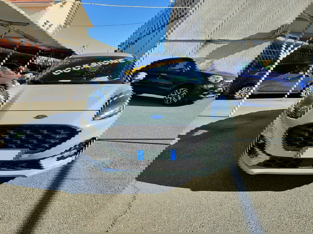 Ford Puma usata a Torino (2)