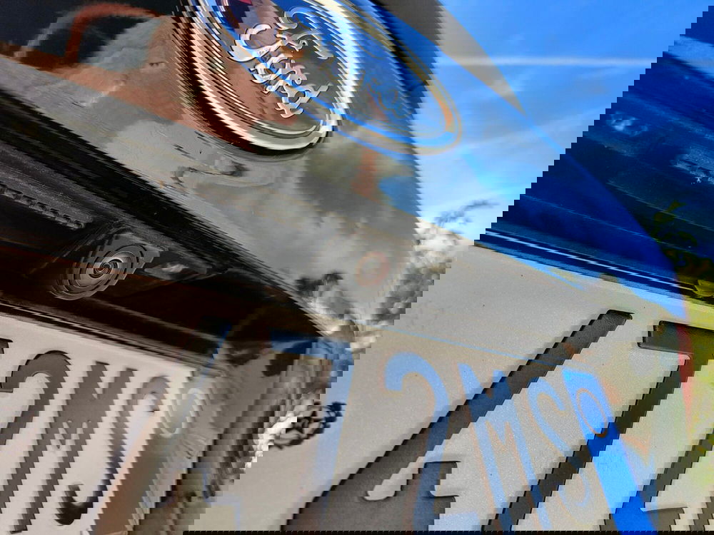 Ford C-Max usata a Torino (9)