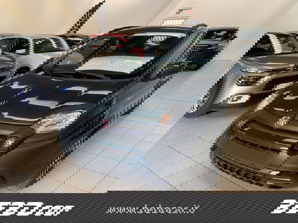 Fiat Panda Cross nuova a Torino (3)