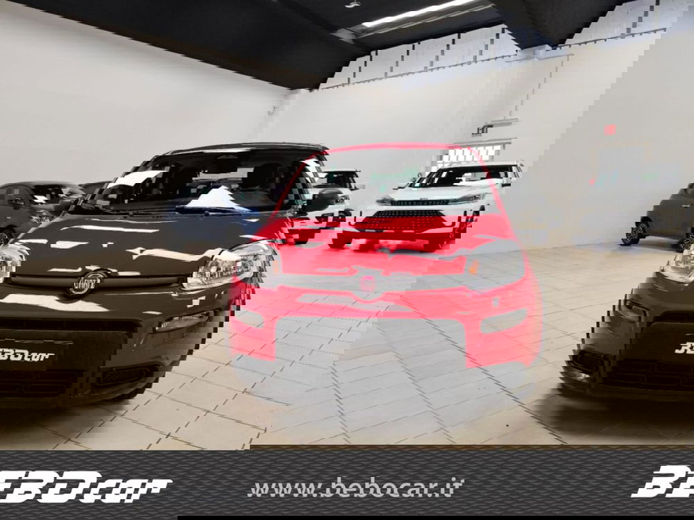 Fiat Panda Cross nuova a Torino (2)