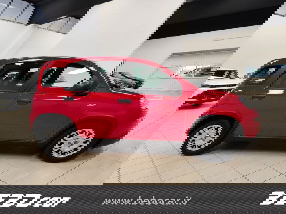 Fiat Panda Cross nuova a Torino (5)