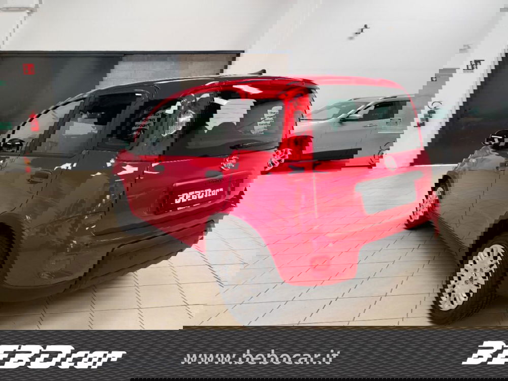 Fiat Panda Cross nuova a Torino (9)