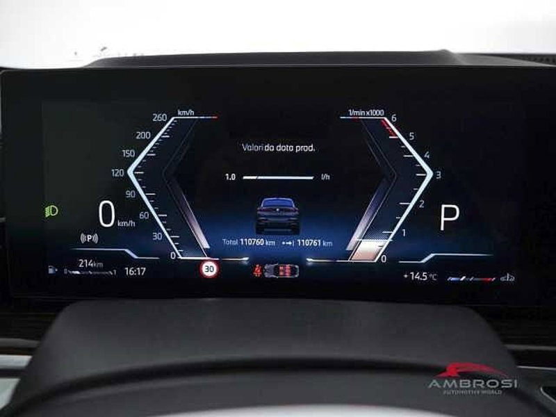 BMW X6 usata a Viterbo (13)